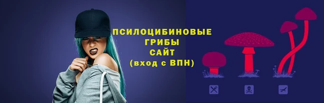 гашишное масло Володарск