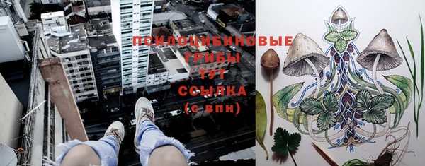 прущая мука Новосибирск