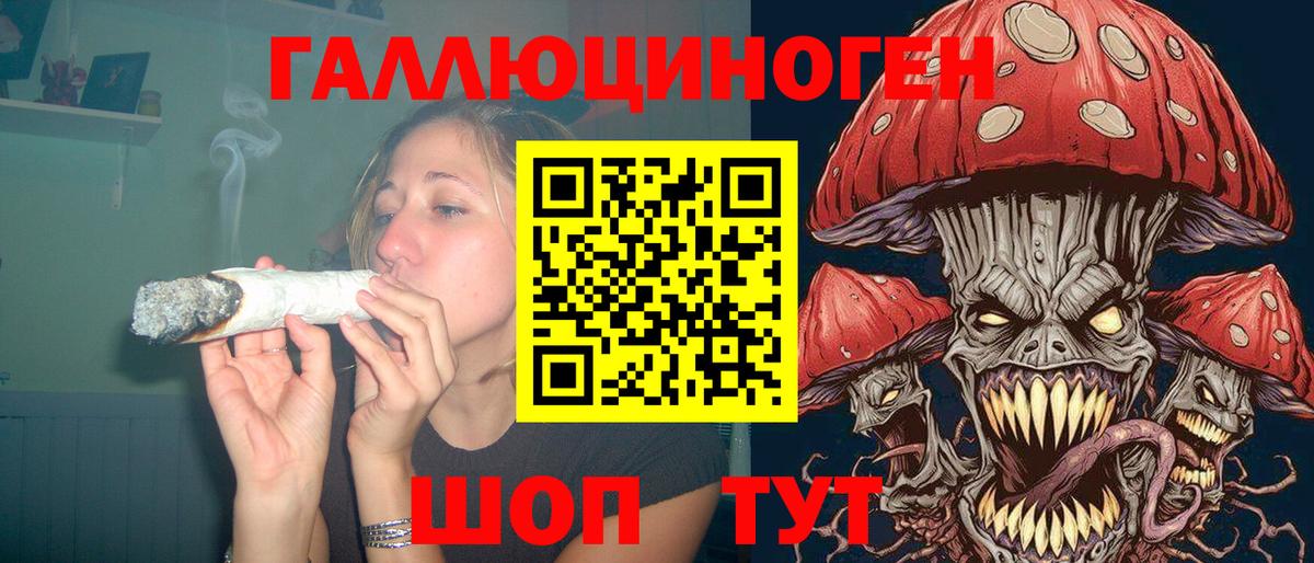 Галлюциногенные грибы Psilocybe  Галлюциногенные грибы мицелий  Россия 