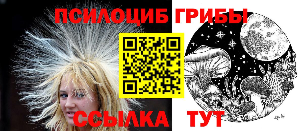 наркота  Вход с VPN  Россия  Псилоцибиновые грибы Cubensis 
