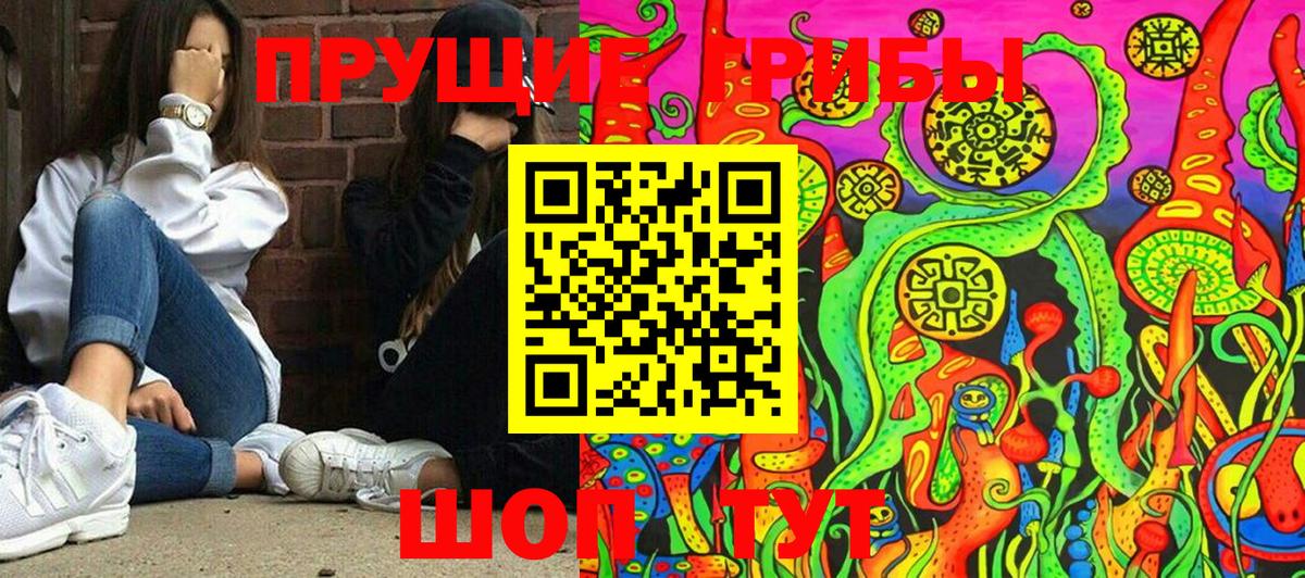 Псилоцибиновые грибы ЛСД Россия